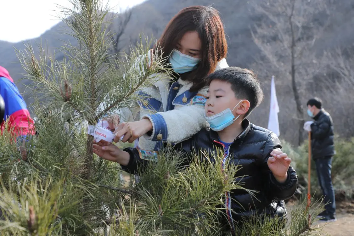 也許栽下一棵樹只需要短短的幾分鐘，但是樹苗、植樹區(qū)域的選擇，澆水量多少都大有學(xué)問在。最后，屈場長在現(xiàn)場選出栽植最標(biāo)準(zhǔn)的5棵樹苗，并向他們頒發(fā)了驚喜禮品。