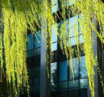 ?？粕材芸佳芯可?！如何突破限制、順利邁入更高學(xué)