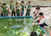 探秘小學(xué)校園后，憧憬在這群幼兒園萌娃心中萌芽