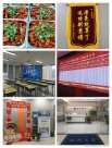 湖北專升本輔導(dǎo)機(jī)構(gòu)應(yīng)該選擇線下還是線上？